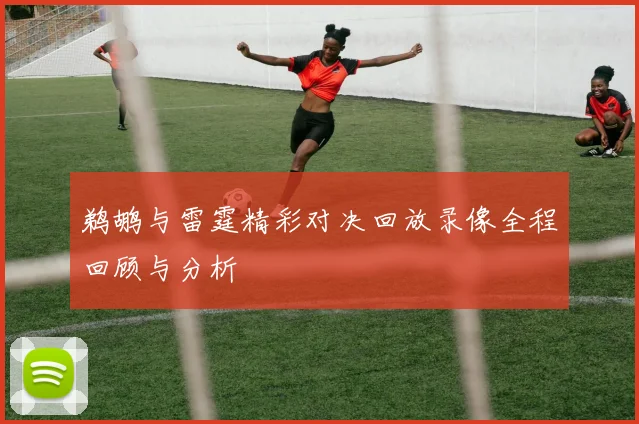 鹈鹕与雷霆精彩对决回放录像全程回顾与分析