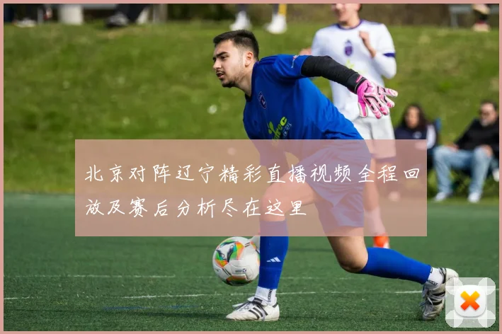 北京对阵辽宁精彩直播视频全程回放及赛后分析尽在这里