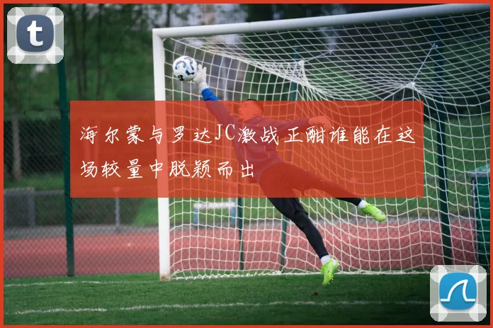 海尔蒙与罗达JC激战正酣谁能在这场较量中脱颖而出