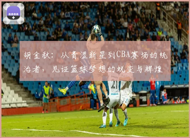 胡金秋：从青涩新星到CBA赛场的统治者，见证篮球梦想的蜕变与辉煌