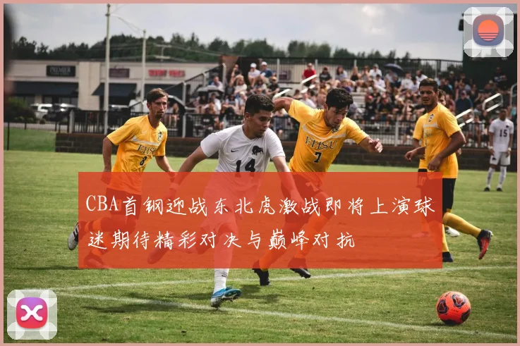 CBA首钢迎战东北虎激战即将上演球迷期待精彩对决与巅峰对抗