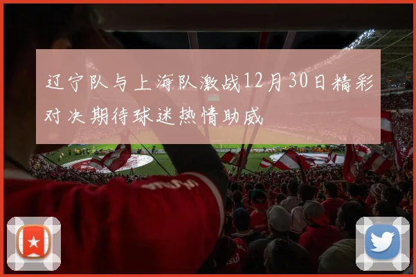 辽宁队与上海队激战12月30日精彩对决期待球迷热情助威